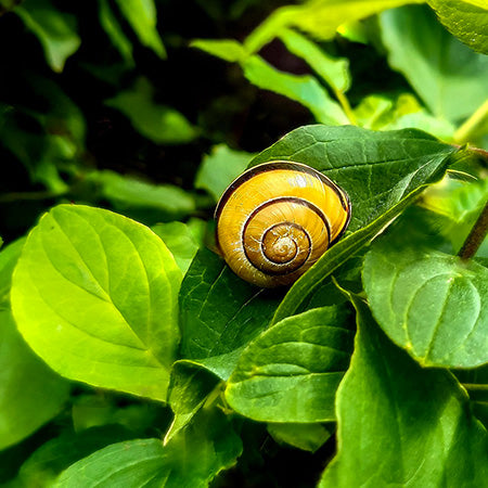 Vous avez dit: slow fashion?